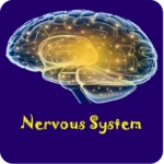 nervous system physiology android application logo